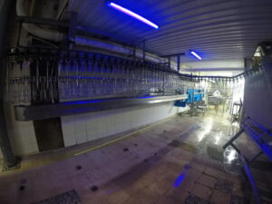 DCIM100GOPROGOPR0232.JPG